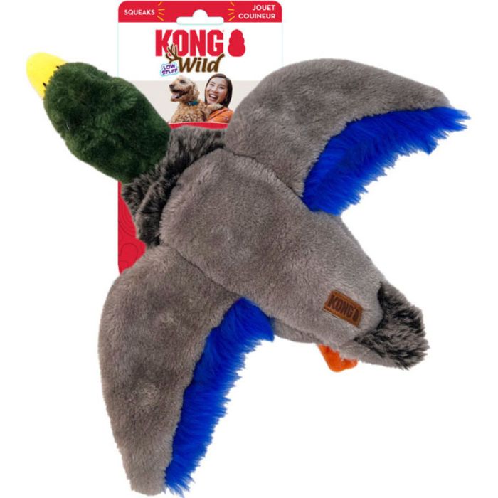 KONGWILS25 Image 1