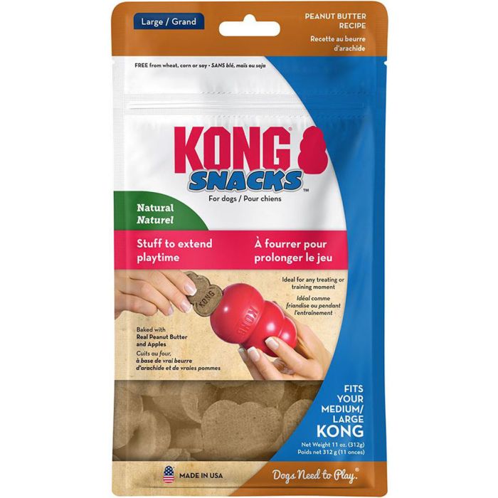 KONGXR1 Image 1