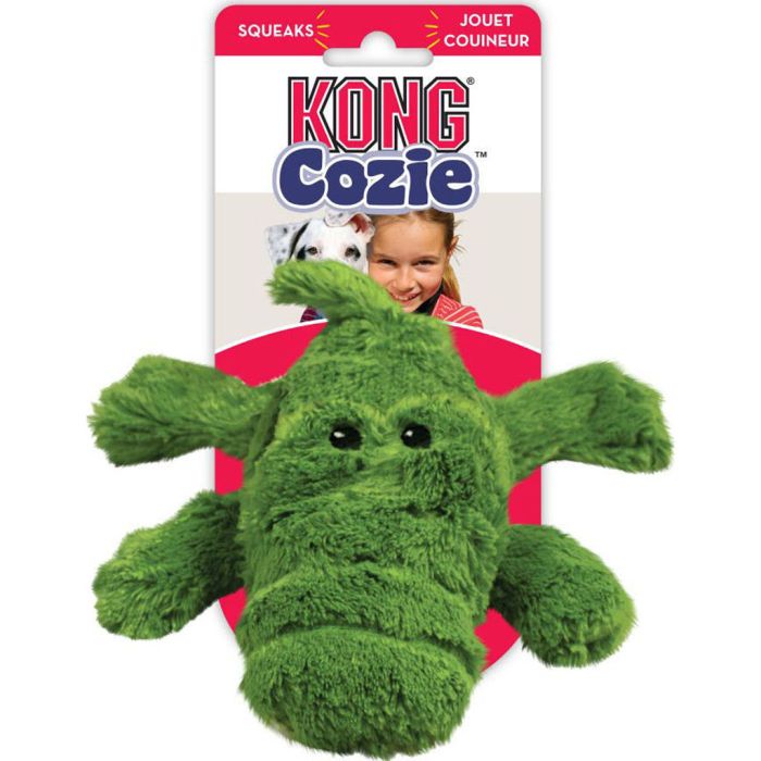 KONGZY2 Image 1