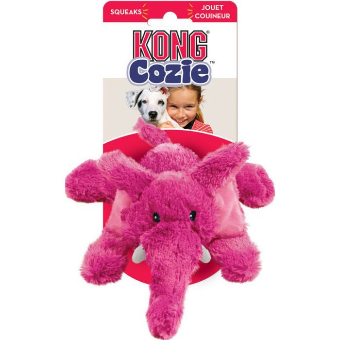 KONGZY22 Image 1