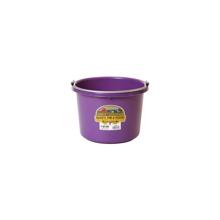 LITGIAP8PURPLE6 Image 1