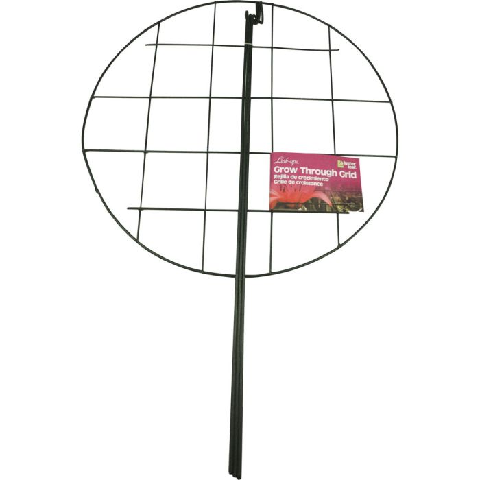 LUSLEA973 Image 1