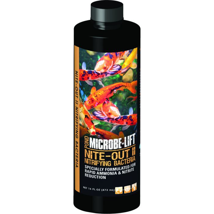 MICLIFNITE16 Image 1