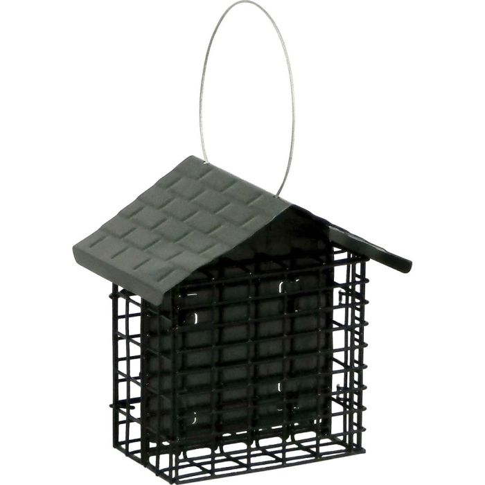 MORBIR38070 Image 1