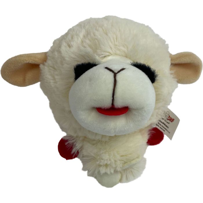 MULTIP48700 Image 1