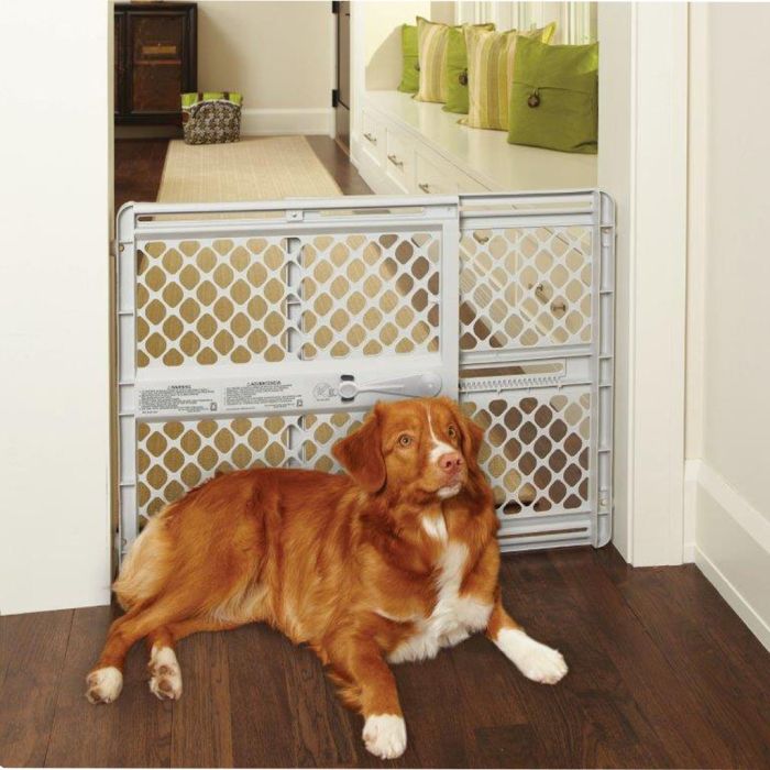 MYPET8625 Image 1