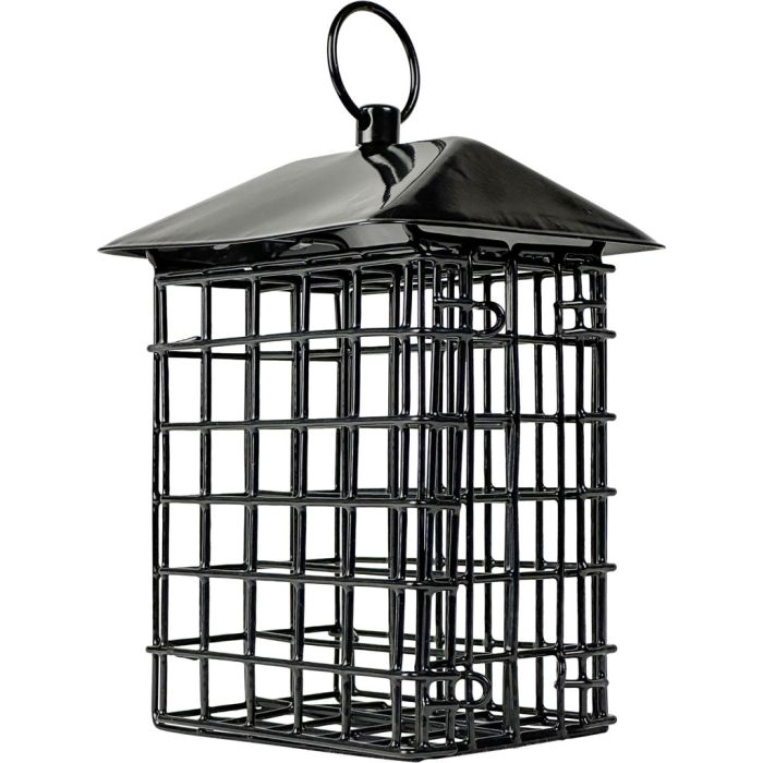 NATWAYWWSUET3 Image 1