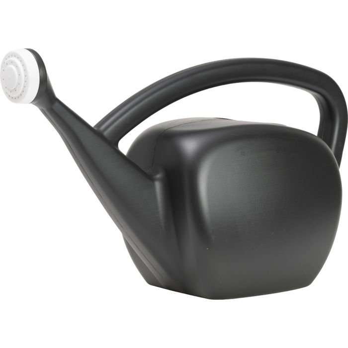 NOVELT31006 Image 1