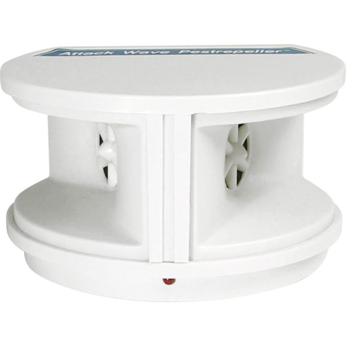 P3INTEP7816 Image 1
