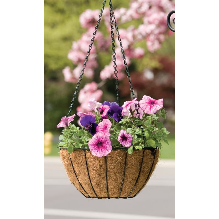 PANPRO88507 Image 1