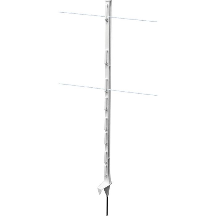 PATRIO8800002506820013 Image 1