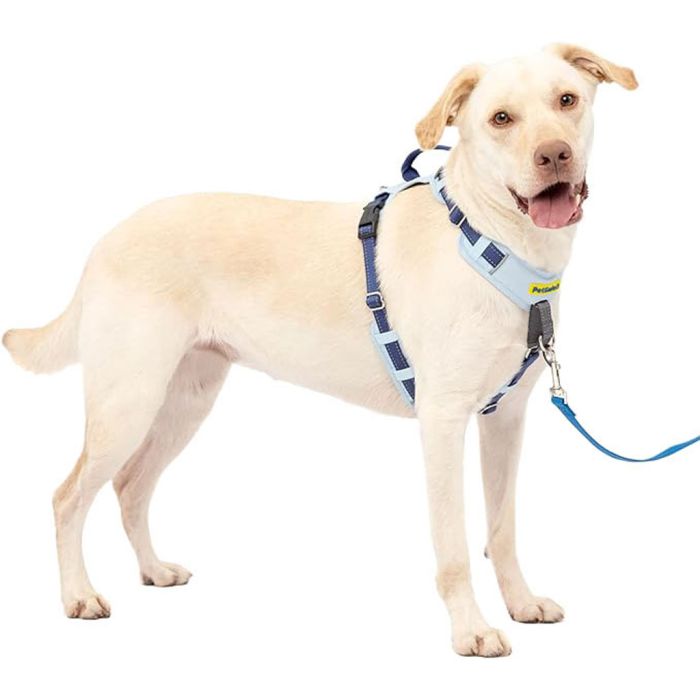 PETSAFCMFTLBLU Image 1