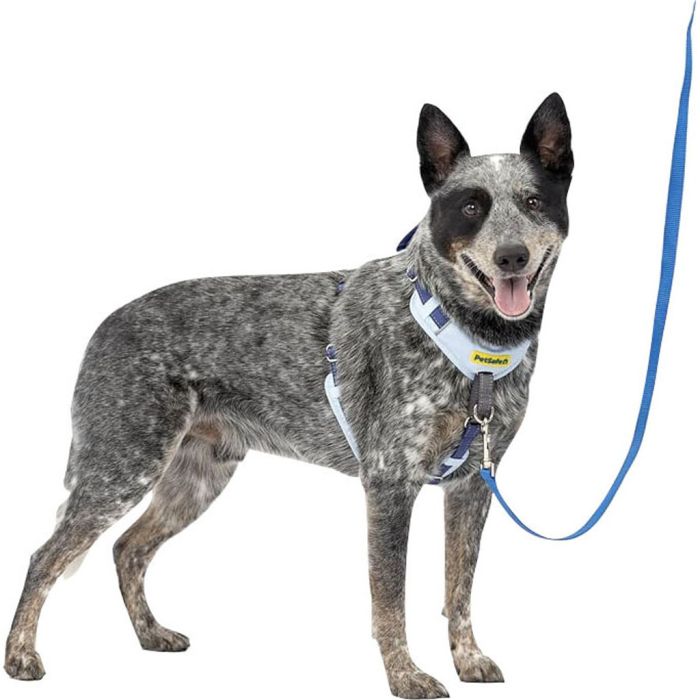 PETSAFCMFTMLBLU Image 1