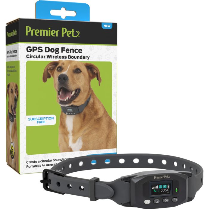 PETSAFGIF0018024 Image 1