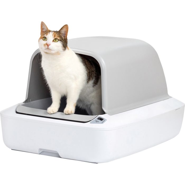 PETSAFPAL0018017 Image 1