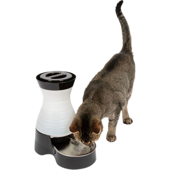 PETSAFPFD1711854 Image 1