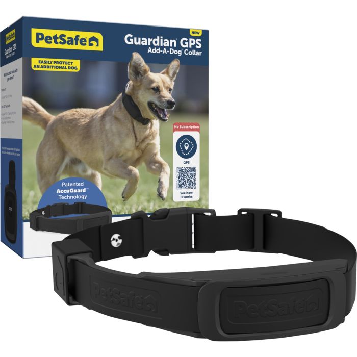 PETSAFPIF0017934 Image 1