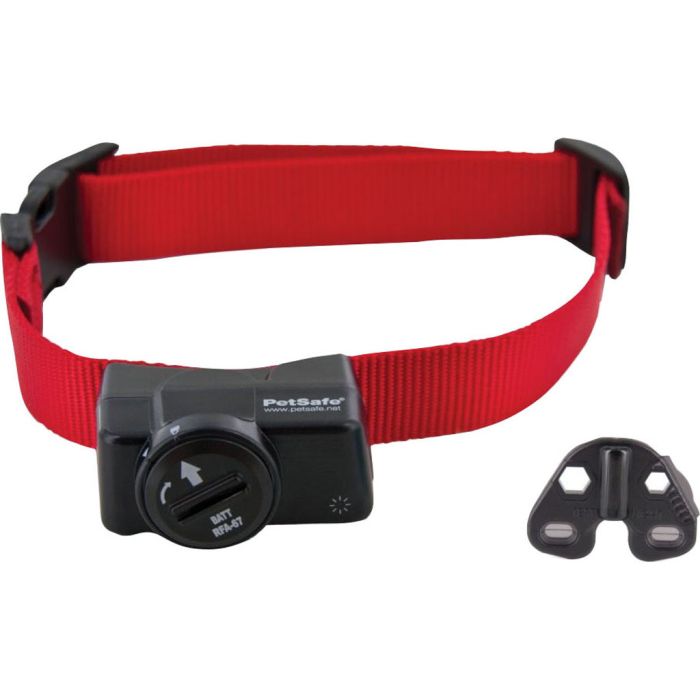 PETSAFPIF27519 Image 1