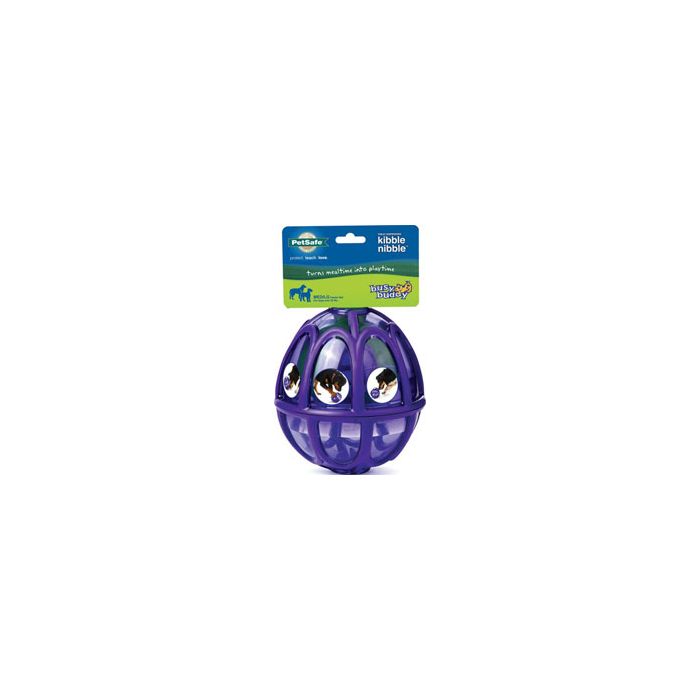 PETSAFPTY0013738 Image 1