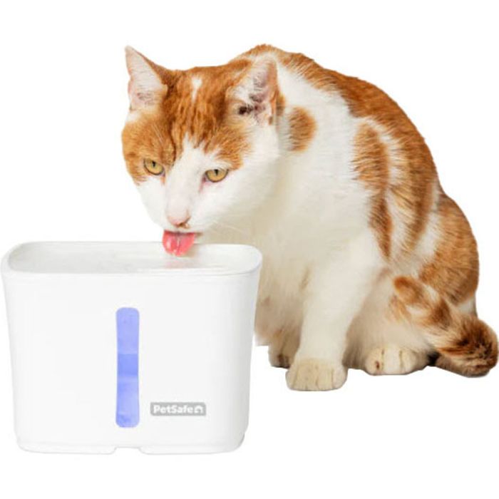 PETSAFPWW0017919 Image 1