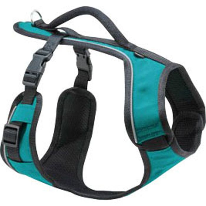 PETSAFTESPHLTEAL Image 1
