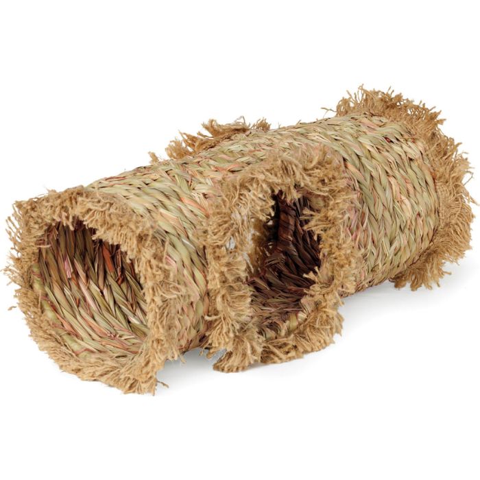 PRVPET1098 Image 1
