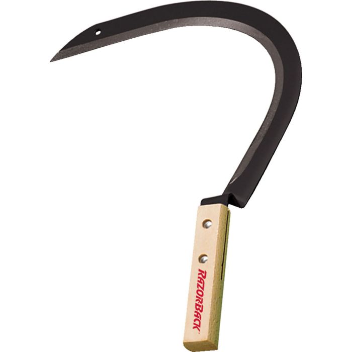 RAZBAC62219 Image 1