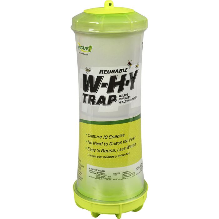 RESCUEWHYTRBB8 Image 1