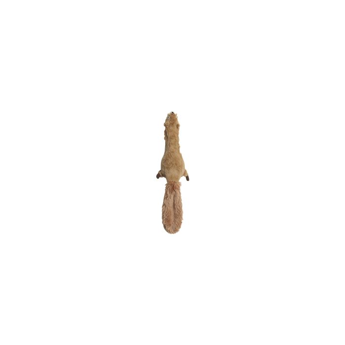 SKINNE5735 Image 1