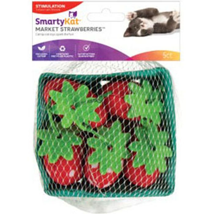 SMARTY3100799997018 Image 1