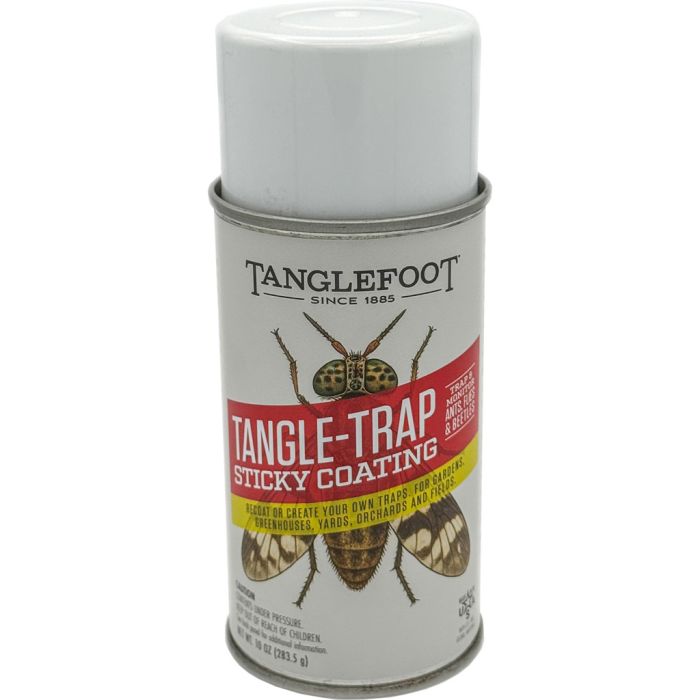 TANGLETF20010 Image 1