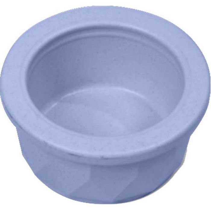 VANNESCS1 Image 1
