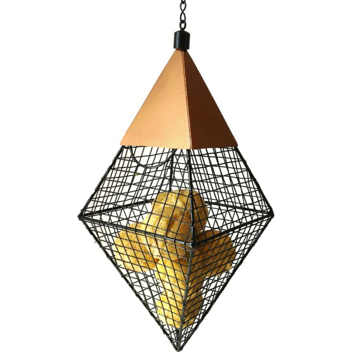 WILSCI762 Image 1