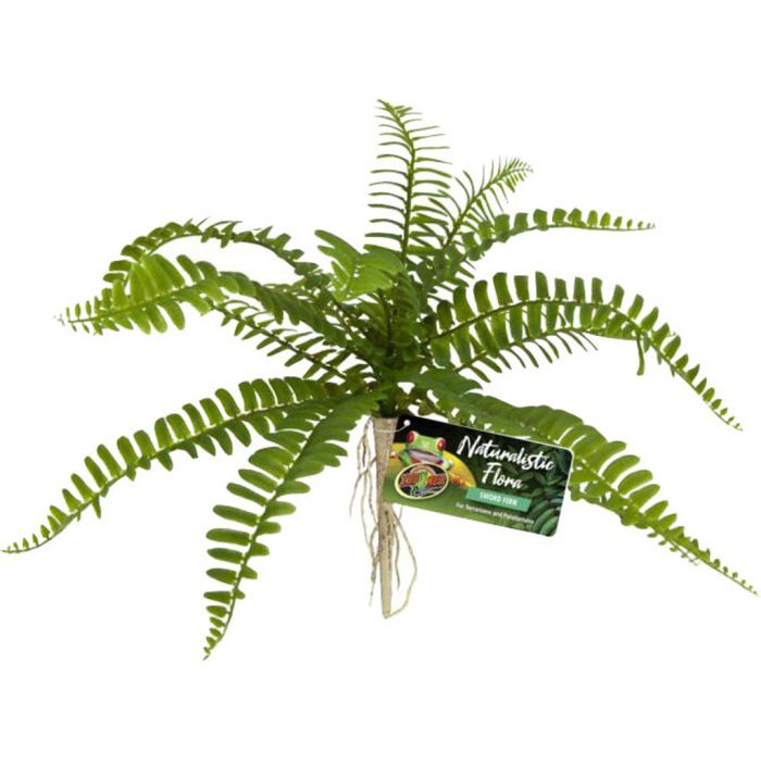 ZOOMEDBU63 Image 1