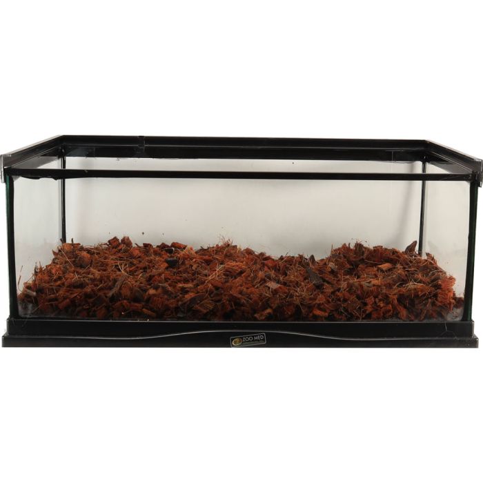 ZOOMEDEE11 Image 1