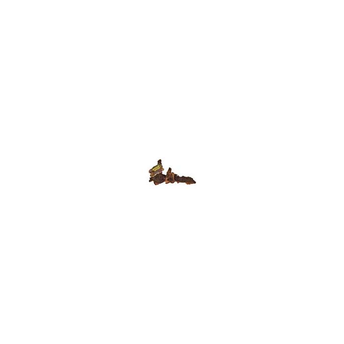 ZOOMEDMWL Image 1