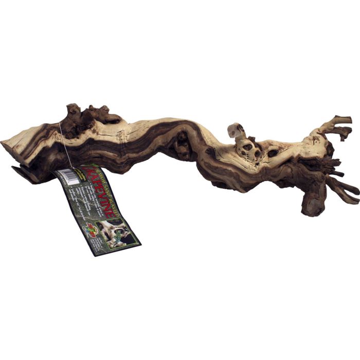 ZOOMEDPSGM Image 1