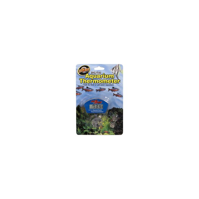 ZOOMEDTH25 Image 1