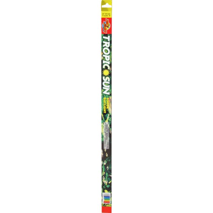 ZOOMEDTL24 Image 1