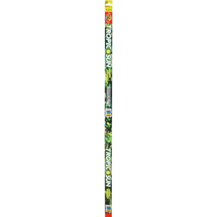 ZOOMEDTL36 Image 1