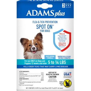 ADAMS100542205 Image 1
