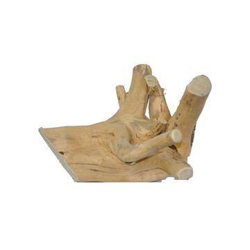 AEAE2101 Image 1