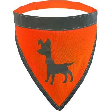 ALCOTTAPLESLGBANO Image 1