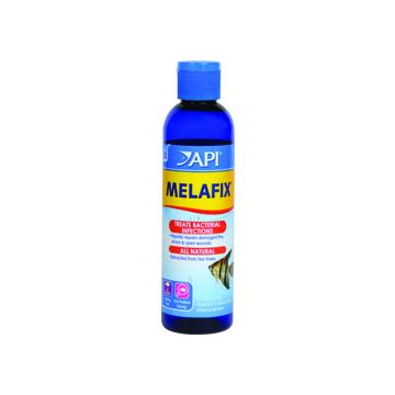 API11G Image 1