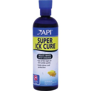 API12J Image 1