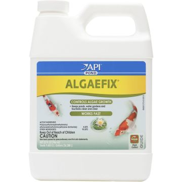 API169G Image 1