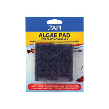 API24 Image 1