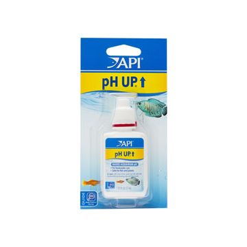 API31A Image 1