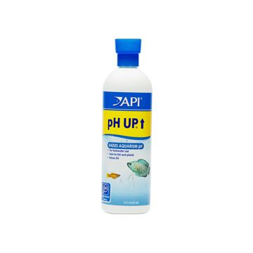 API31B Image 1