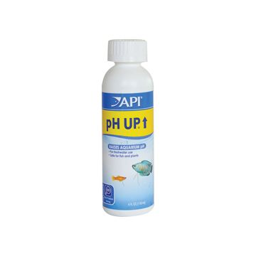 API31C Image 1